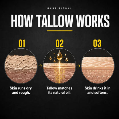 Korean Beef Tallow Honey Balm for Men
